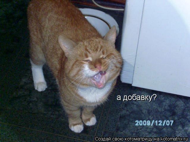 Котоматрица: а добавку?