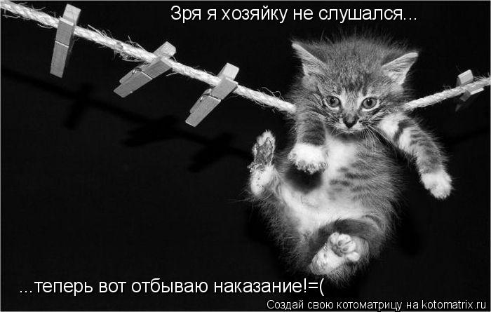 Котоматрица: Зря я хозяйку не слушался... ...теперь вот отбываю наказание!=(