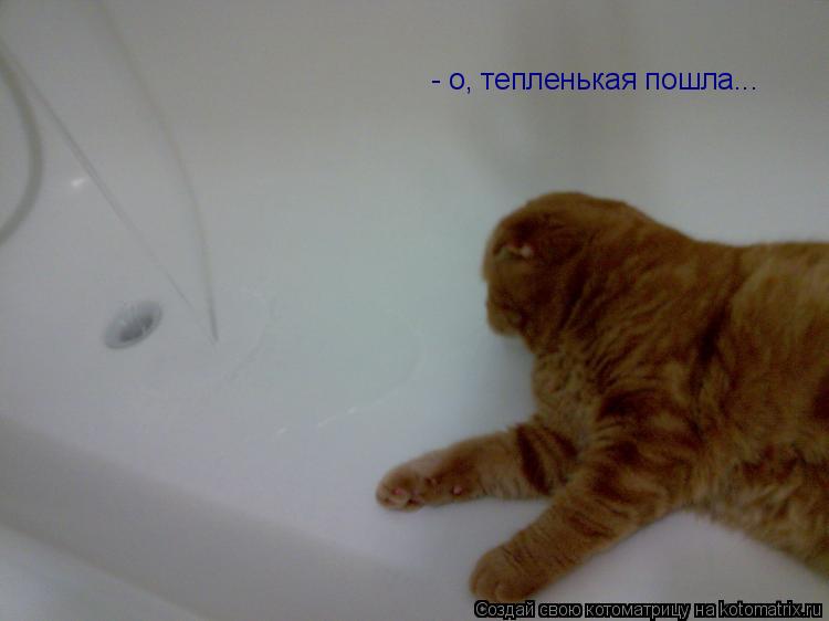 Котоматрица: - о, тепленькая пошла...