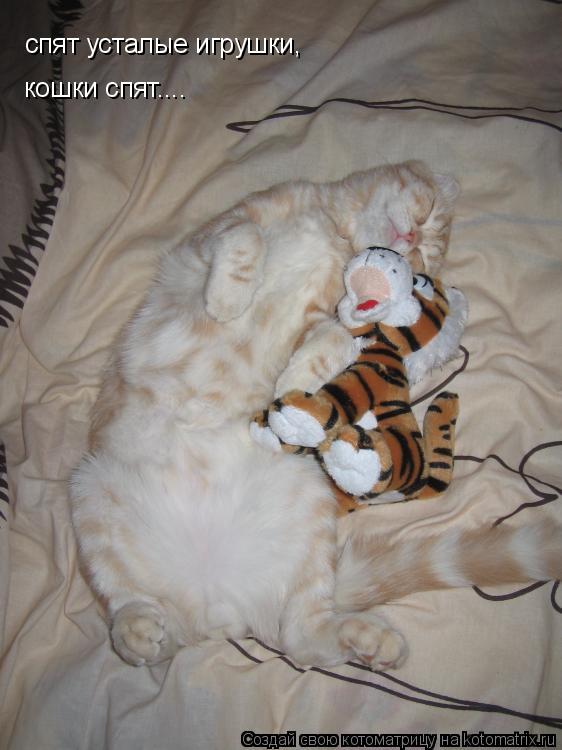 Котоматрица: спят усталые игрушки, кошки спят....
