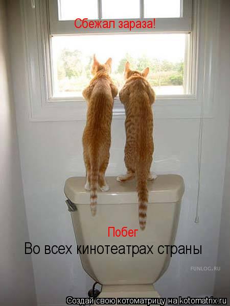 Сбежал зараза! Побег Во всех кинотеатрах страны... Котоматрица: Сбежал зараза! Побег Во всех кинотеатрах страны