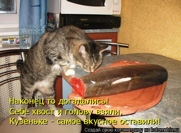 Наконец то догадались! Себе хвост и голову взяли, Кузеньке - самое вкусное оставили!... Котоматрица: Наконец то догадались! Себе хвост и голову взяли, Кузеньке - самое вкусное оставили!