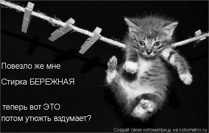 Повезло же мне Стирка БЕРЕЖНАЯ потом утюжть вздумает? теперь вот ЭТО... Котоматрица: Повезло же мне Стирка БЕРЕЖНАЯ потом утюжть вздумает? теперь вот ЭТО