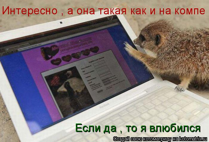 Интересно , а она такая как и на компе Если да , то я влюбился... Котоматрица: Интересно , а она такая как и на компе Если да , то я влюбился