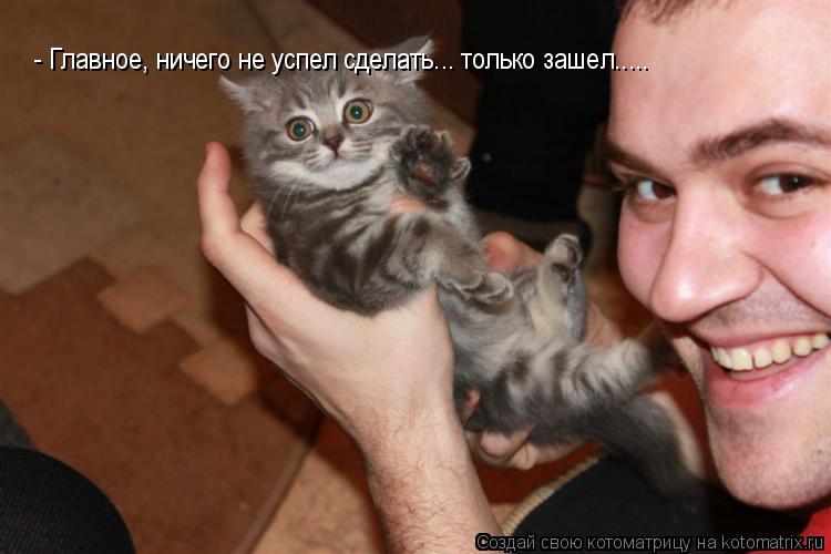 Котоматрица: - Главное, ничего не успел сделать... только зашел.....