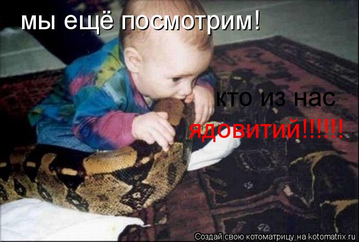 Котоматрица: мы ещё посмотрим! кто из нас ядовитий!!!!!!