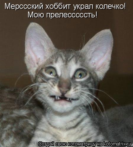 Мерссский хоббит украл колечко! Мою прелесссссть!... Котоматрица: Мерссский хоббит украл колечко! Мою прелесссссть!
