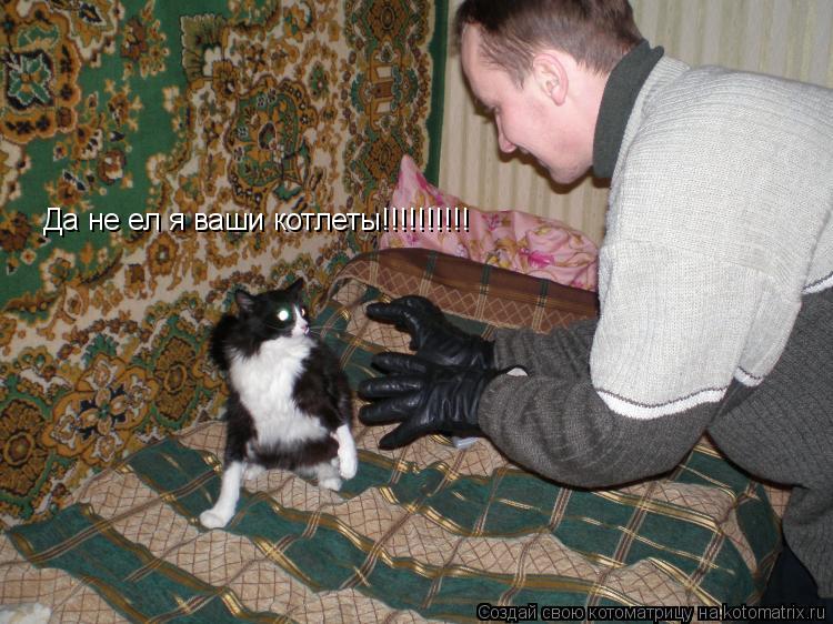 Да не ел я ваши котлеты!!!!!!!!!!... Котоматрица: Да не ел я ваши котлеты!!!!!!!!!!