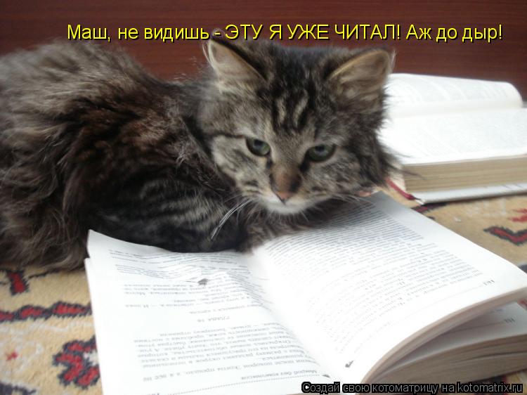 Маш, не видишь - ЭТУ Я УЖЕ ЧИТАЛ! Маш, не видишь - ЭТУ Я УЖЕ ЧИТАЛ! Аж до дыр!... Котоматрица: Маш, не видишь - ЭТУ Я УЖЕ ЧИТАЛ! Маш, не видишь - ЭТУ Я УЖЕ ЧИТАЛ! Аж до дыр!