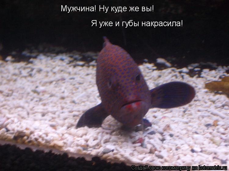 Мужчина! Ну куде же вы! Я уже и губы накрасила!... Котоматрица: Мужчина! Ну куде же вы! Я уже и губы накрасила!