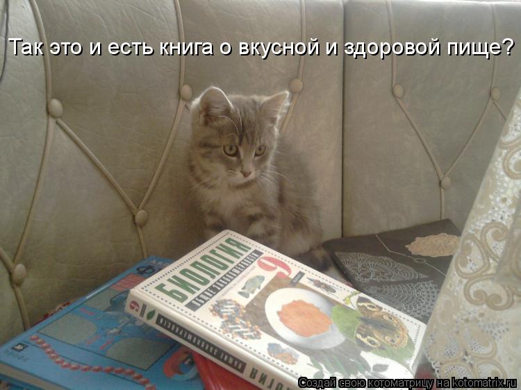 Котоматрица: Так это и есть книга о вкусной и здоровой пище?