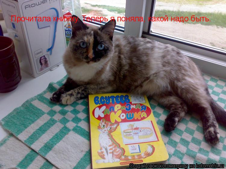 Котоматрица: Прочитала книжку. Теперь я поняла, какой надо быть.