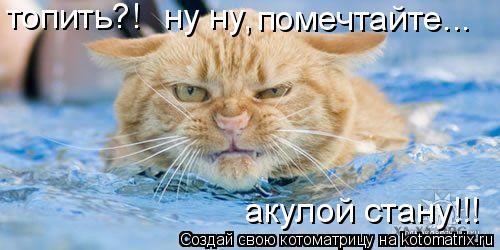 Котоматрица: акулой стану!!! топить?!  ну ну помечтайте... ,