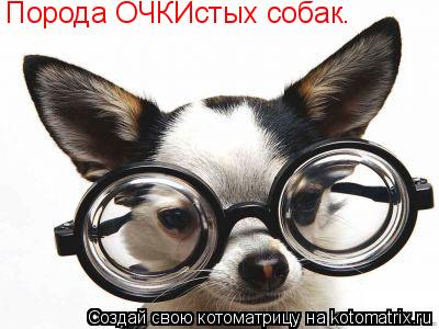 Котоматрица: Порода ОЧКИстых собак.