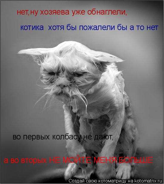 Котоматрица: нет,ну хозяева уже обнаглели, котика  хотя бы пожалели бы а то нет во первых колбасу не дают, а во вторых НЕ МОЙТЕ МЕНЯ БОЛЬШЕ