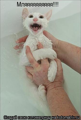 Котоматрица: Мляяяяяяяяяя!!!!