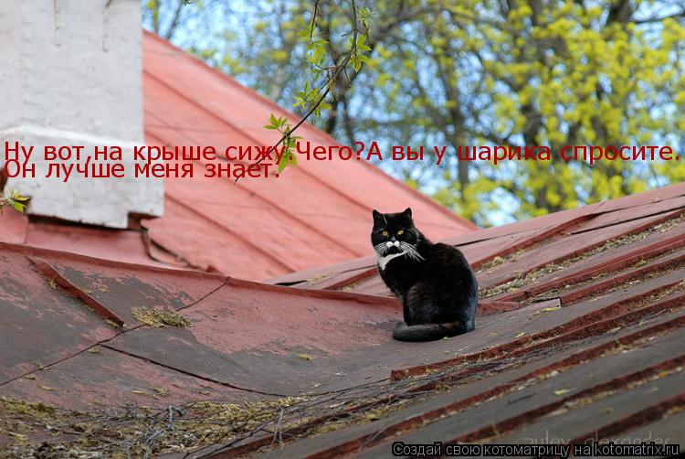 Ну вот,на крыше сижу.Чего?А вы у шарика спросите. Он лучше меня знает.... Котоматрица: Ну вот,на крыше сижу.Чего?А вы у шарика спросите. Он лучше меня знает.