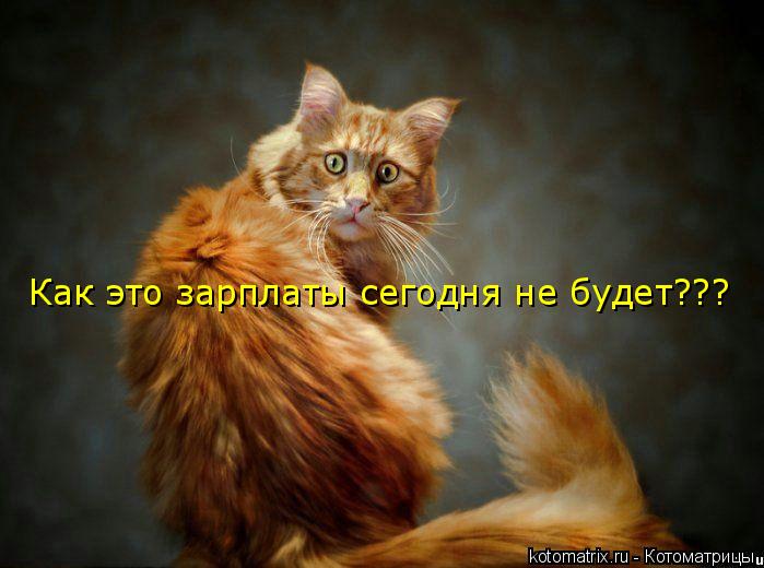 Как это зарплаты сегодня не будет???... Котоматрица: Как это зарплаты сегодня не будет???