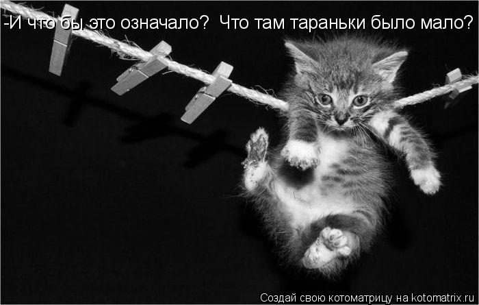 -И что бы это означало? Что там тараньки было мало?... Котоматрица: -И что бы это означало? Что там тараньки было мало?