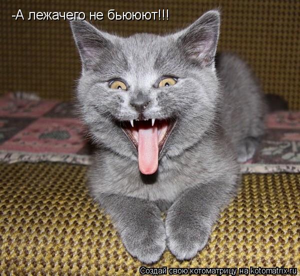 -А лежачего не бьююют!!!... Котоматрица: -А лежачего не бьююют!!!