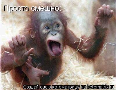 Просто смешно:... Котоматрица: Просто смешно:
