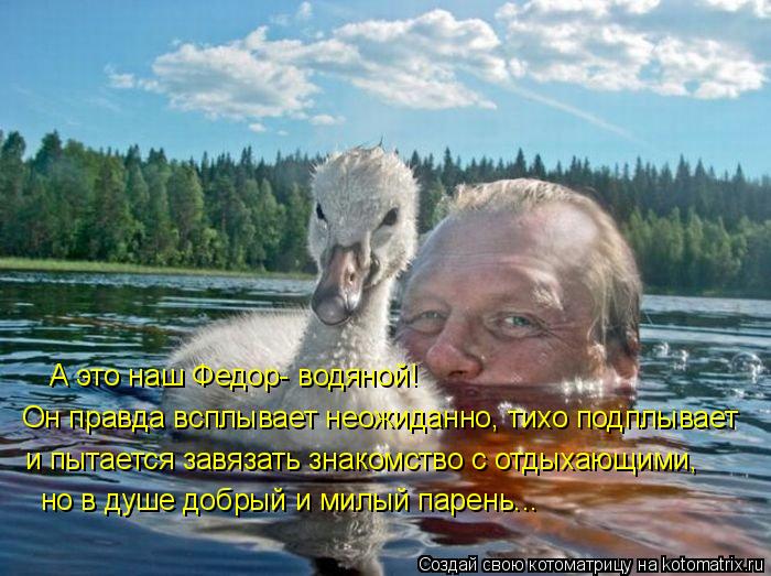 А это наш Федор- водяной! Он правда всплывает неожиданно, тихо подплывает и пытается завязать знакомс... Котоматрица: А это наш Федор- водяной! Он правда всплывает неожиданно, тихо подплывает и пытается завязать знакомство с отдыхающими, но в душе добрый и м