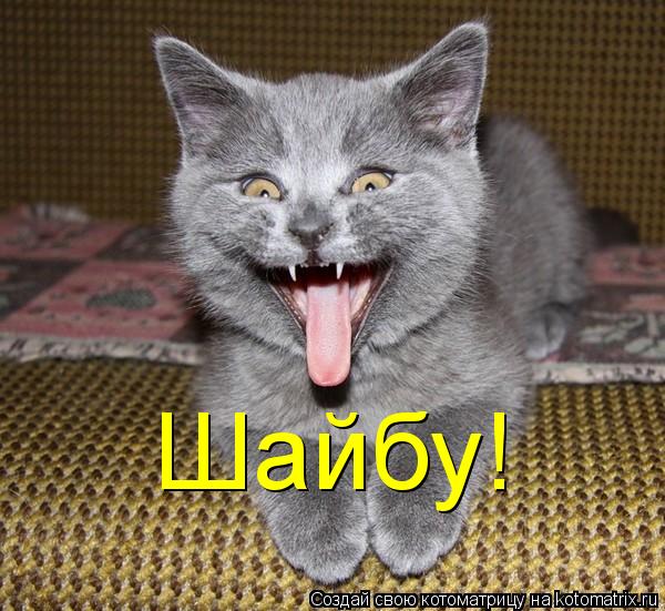 Шайбу!... Котоматрица: Шайбу!