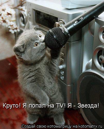 Круто! Я попал на TV! Я - Звезда!... Котоматрица: Круто! Я попал на TV! Я - Звезда!