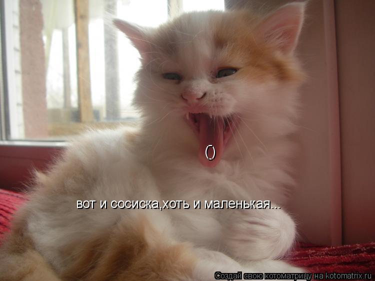 - ( ) - вот и сосиска,хоть и маленькая...... Котоматрица: - ( ) - вот и сосиска,хоть и маленькая...