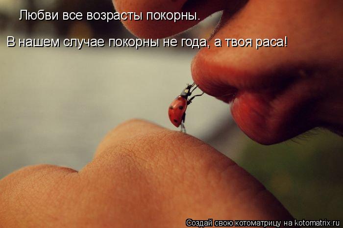 Любви все возрасты покорны. В нашем случае покорны не года, а твоя раса!... Котоматрица: Любви все возрасты покорны. В нашем случае покорны не года, а твоя раса!