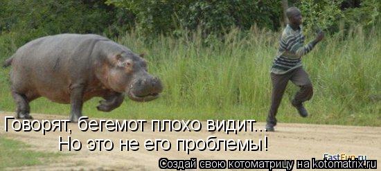 Говорят, бегемот плохо видит... Но это не его проблемы!... Котоматрица: Говорят, бегемот плохо видит... Но это не его проблемы!