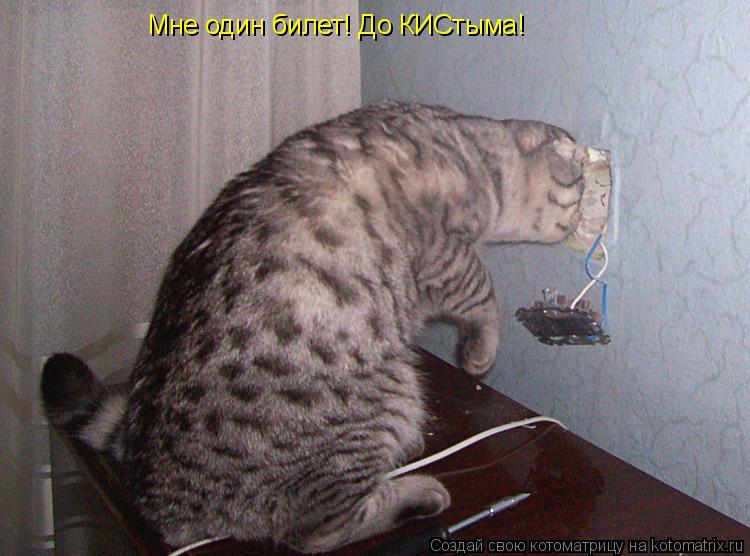 Мне один билет! До КИСтыма!... Котоматрица: Мне один билет! До КИСтыма!