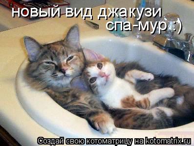 новый вид джакузи спа-мур :)... Котоматрица: новый вид джакузи спа-мур :)