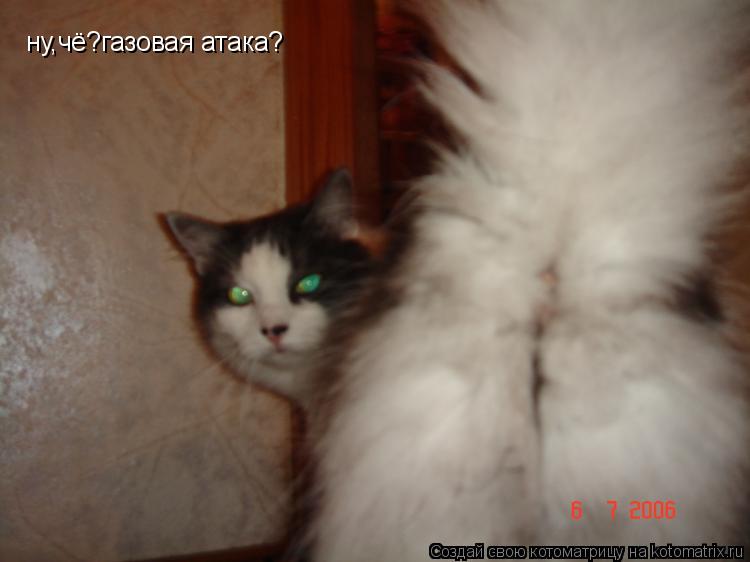 ну,чё?газовая атака?... Котоматрица: ну,чё?газовая атака?