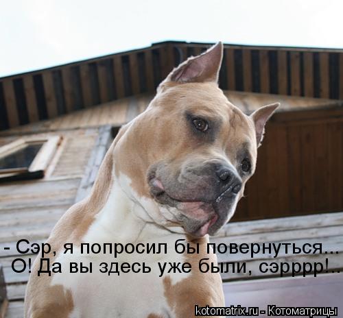 - Сэр, я попросил бы повернуться... О! Да вы здесь уже были, сэрррр!...... Котоматрица: - Сэр, я попросил бы повернуться... О! Да вы здесь уже были, сэрррр!...