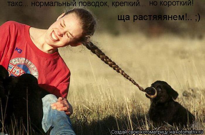 такс... нормальный поводок, крепкий... но короткий! ща растяяянем!.. ;)... Котоматрица: такс... нормальный поводок, крепкий... но короткий! ща растяяянем!.. ;)
