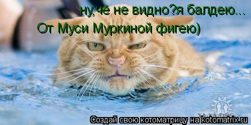 ну,чё не видно?я балдею... От Муси Муркиной фигею)... Котоматрица: ну,чё не видно?я балдею... От Муси Муркиной фигею)