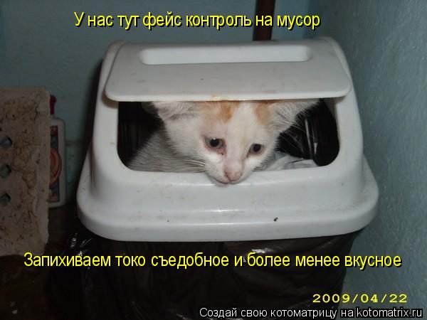 У нас тут фейс контроль на мусор Запихиваем токо съедобное и более менее вкусное... Котоматрица: У нас тут фейс контроль на мусор Запихиваем токо съедобное и более менее вкусное