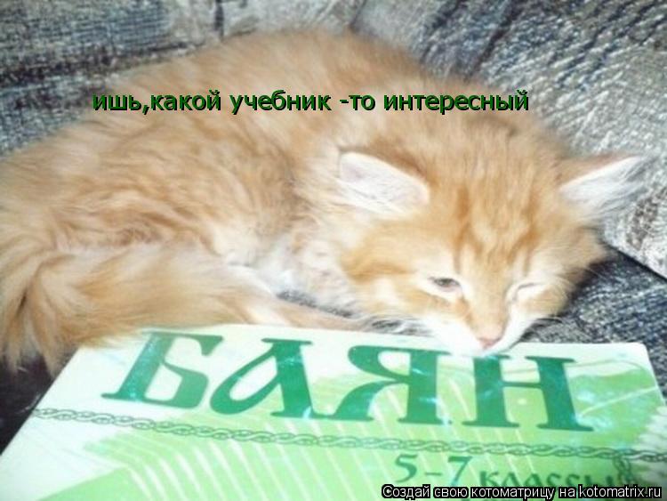 ишь,какой учебник -то интересный... Котоматрица: ишь,какой учебник -то интересный
