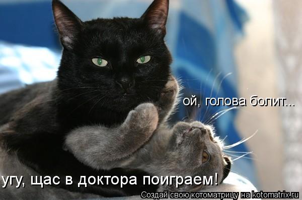 ой, голова болит... угу, щас в доктора поиграем!... Котоматрица: ой, голова болит... угу, щас в доктора поиграем!