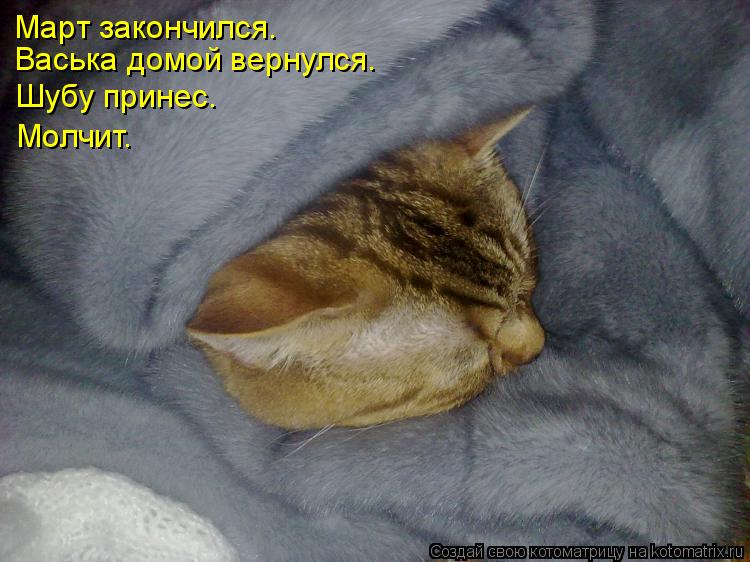 Март закончился. Васька домой вернулся. Шубу принес. Молчит.... Котоматрица: Март закончился. Васька домой вернулся. Шубу принес. Молчит.