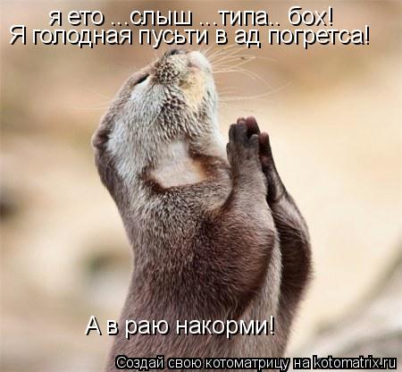 я ето ...слыш ...типа.. бох! Я голодная пусьти в ад погретса! A в раю накорми!... Котоматрица: я ето ...слыш ...типа.. бох! Я голодная пусьти в ад погретса! A в раю накорми!