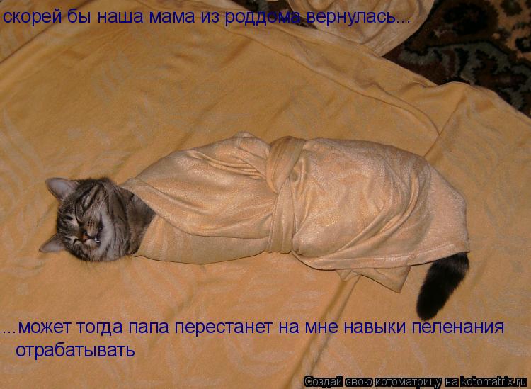скорей бы наша мама из роддома вернулась... ...может тогда папа перестанет на мне навыки пеленания от... Котоматрица: скорей бы наша мама из роддома вернулась... ...может тогда папа перестанет на мне навыки пеленания отрабатывать