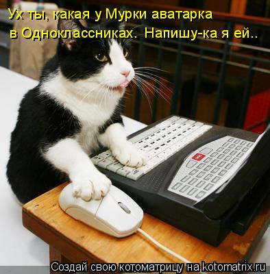 Ух ты, какая у Мурки аватарка в Одноклассниках. Напишу-ка я ей..... Котоматрица: Ух ты, какая у Мурки аватарка в Одноклассниках. Напишу-ка я ей..