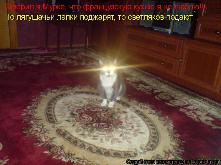Говорил я Мурке, что французскую кухню я не люблю!!! То лягушачьи лапки поджарят, то светляков подают... Котоматрица: Говорил я Мурке, что французскую кухню я не люблю!!! То лягушачьи лапки поджарят, то светляков подают...
