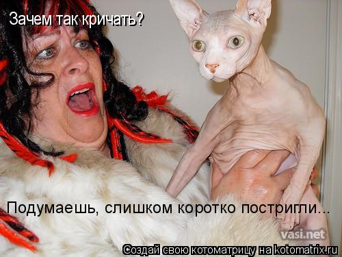 Зачем так кричать? Подумаешь, слишком коротко постригли...... Котоматрица: Зачем так кричать? Подумаешь, слишком коротко постригли...