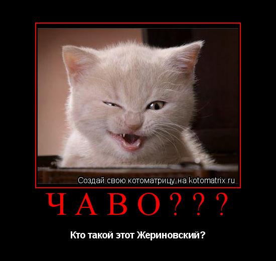 чаво??? Кто такой этот Жериновский?... Котоматрица: чаво??? Кто такой этот Жериновский?
