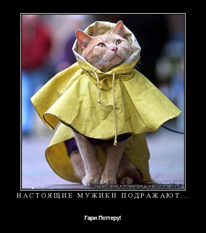 настоящие мужики подражают... Гари Поттеру!... Котоматрица: настоящие мужики подражают... Гари Поттеру!