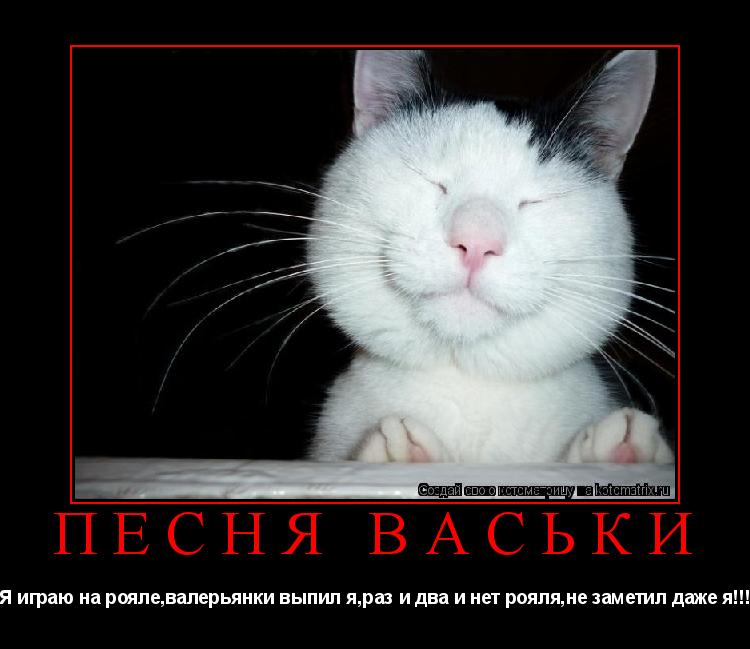 Песня Васьки Я играю на рояле,валерьянки выпил я,раз и два и нет рояля,не заметил даже я!!!... Котоматрица: Песня Васьки Я играю на рояле,валерьянки выпил я,раз и два и нет рояля,не заметил даже я!!!