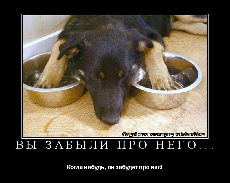 Вы забыли про него... Когда нибудь, он забудет про вас!... Котоматрица: Вы забыли про него... Когда нибудь, он забудет про вас!